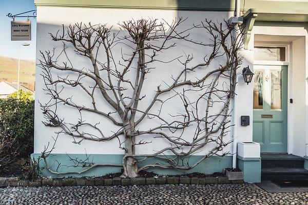 Llety Brynawel Guest House Pennal Екстериор снимка