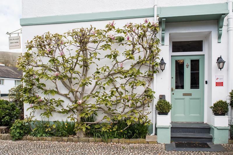 Llety Brynawel Guest House Pennal Екстериор снимка
